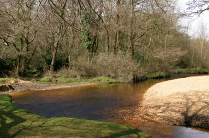 An image of a river in the countryside