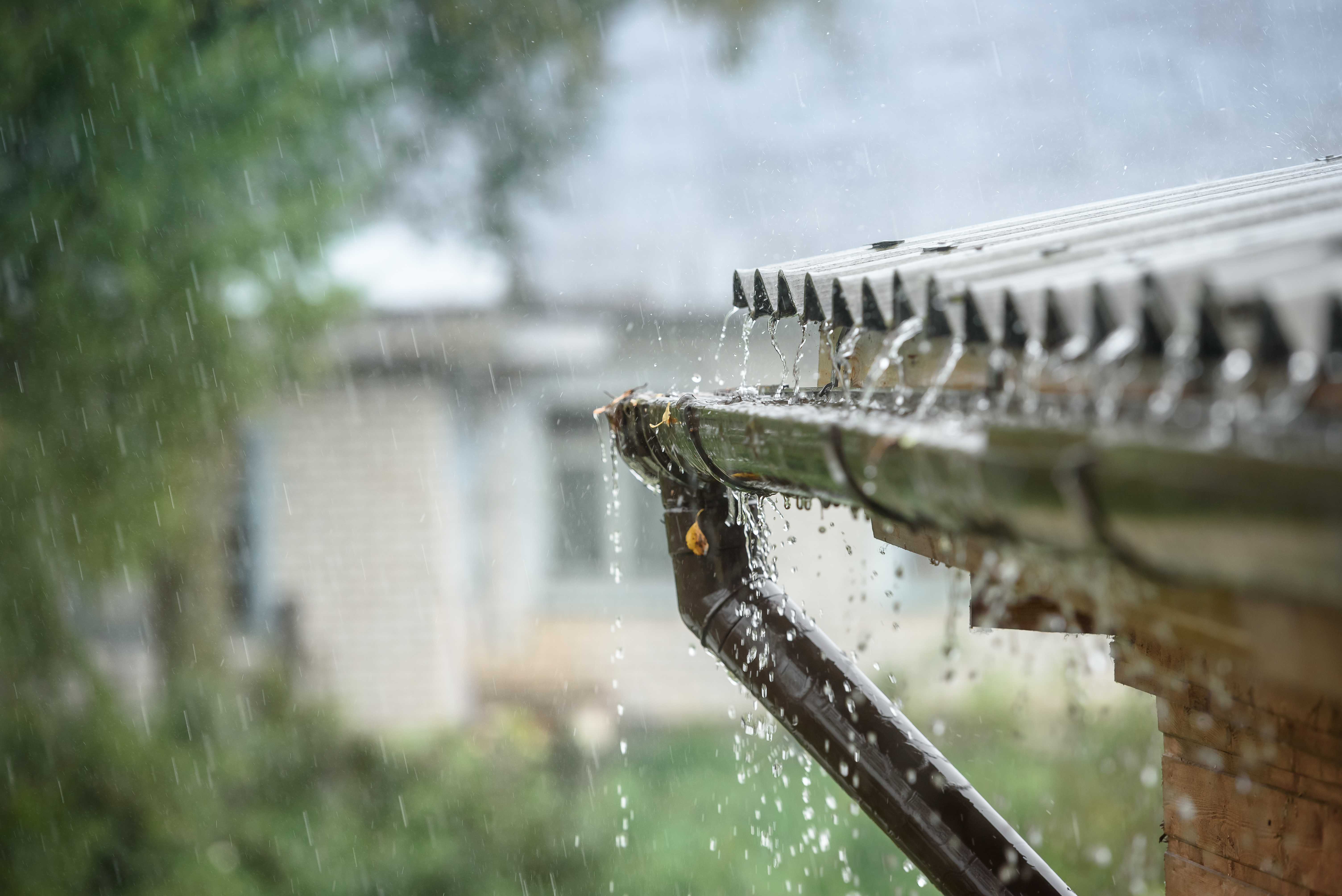 Using rainwater to flush toilets 