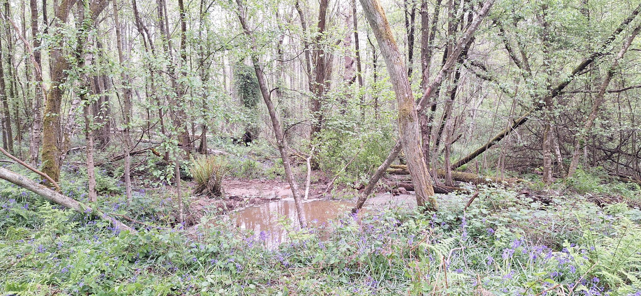 Water supply issue - St Leonards-on-Sea, East Sussex