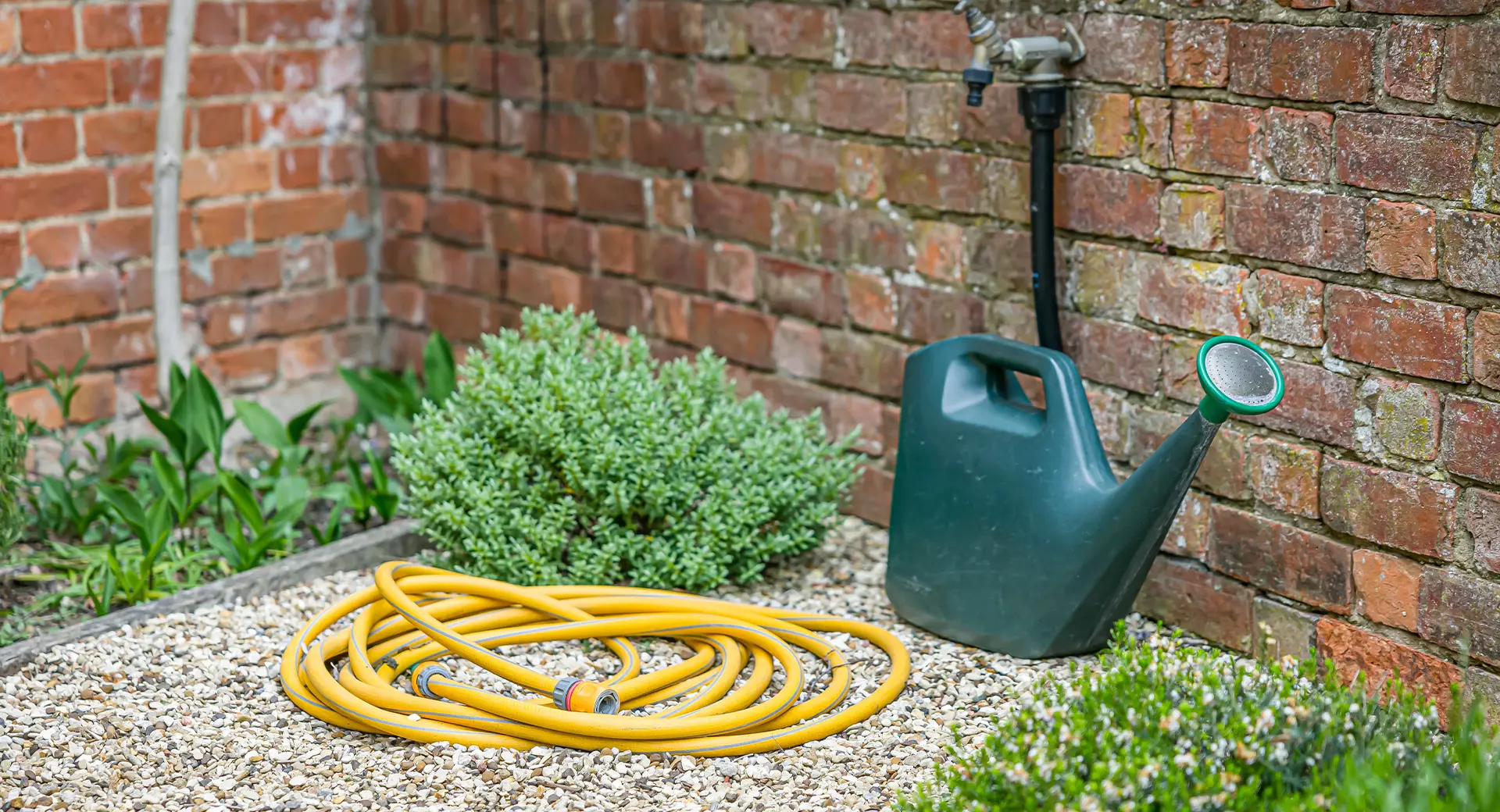 A watering can beside a hose in a garden