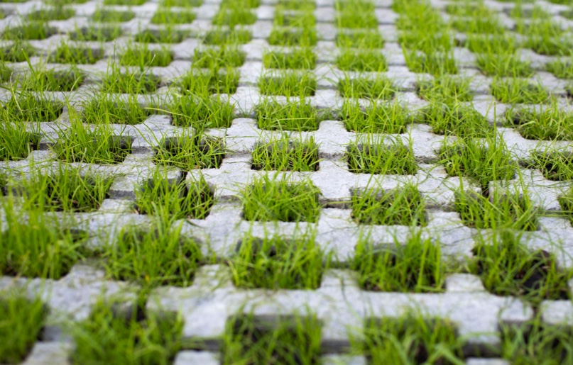 Permeable paving with grass growing through it