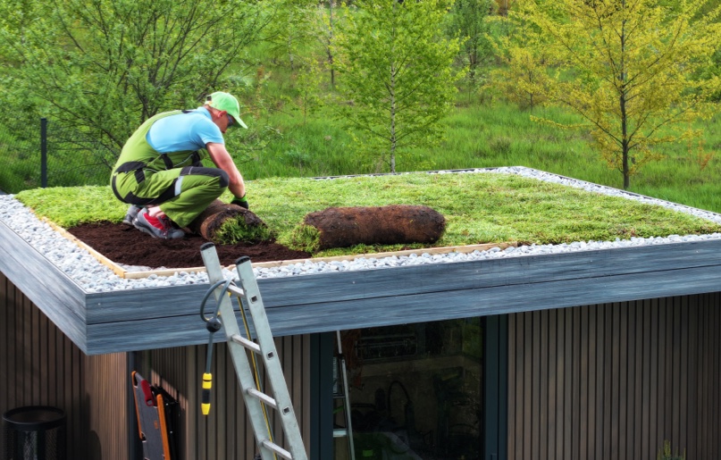 A gardener laying turf on the roof of a wooden building