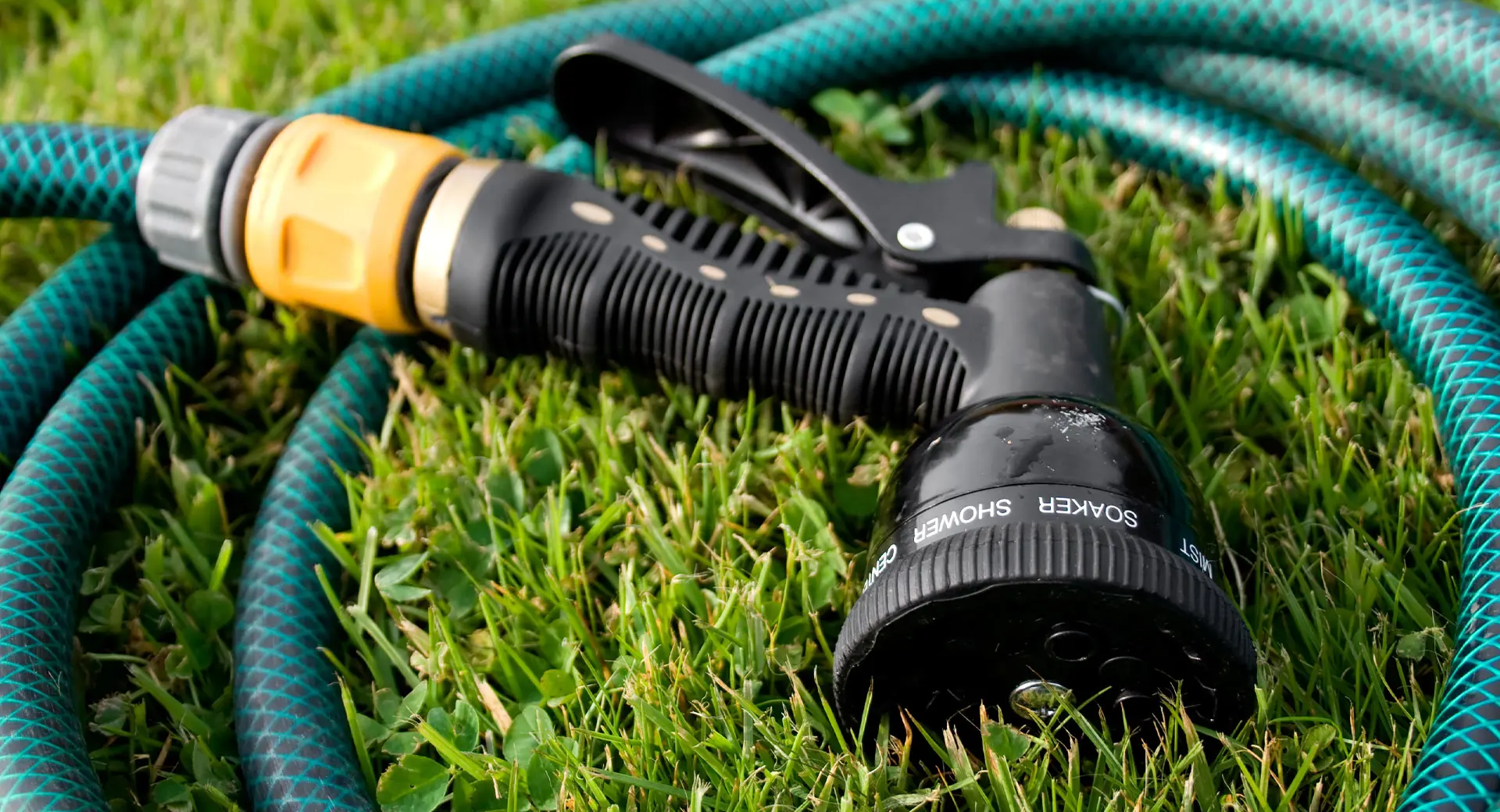 A close-up of a hosepipe lying on grass