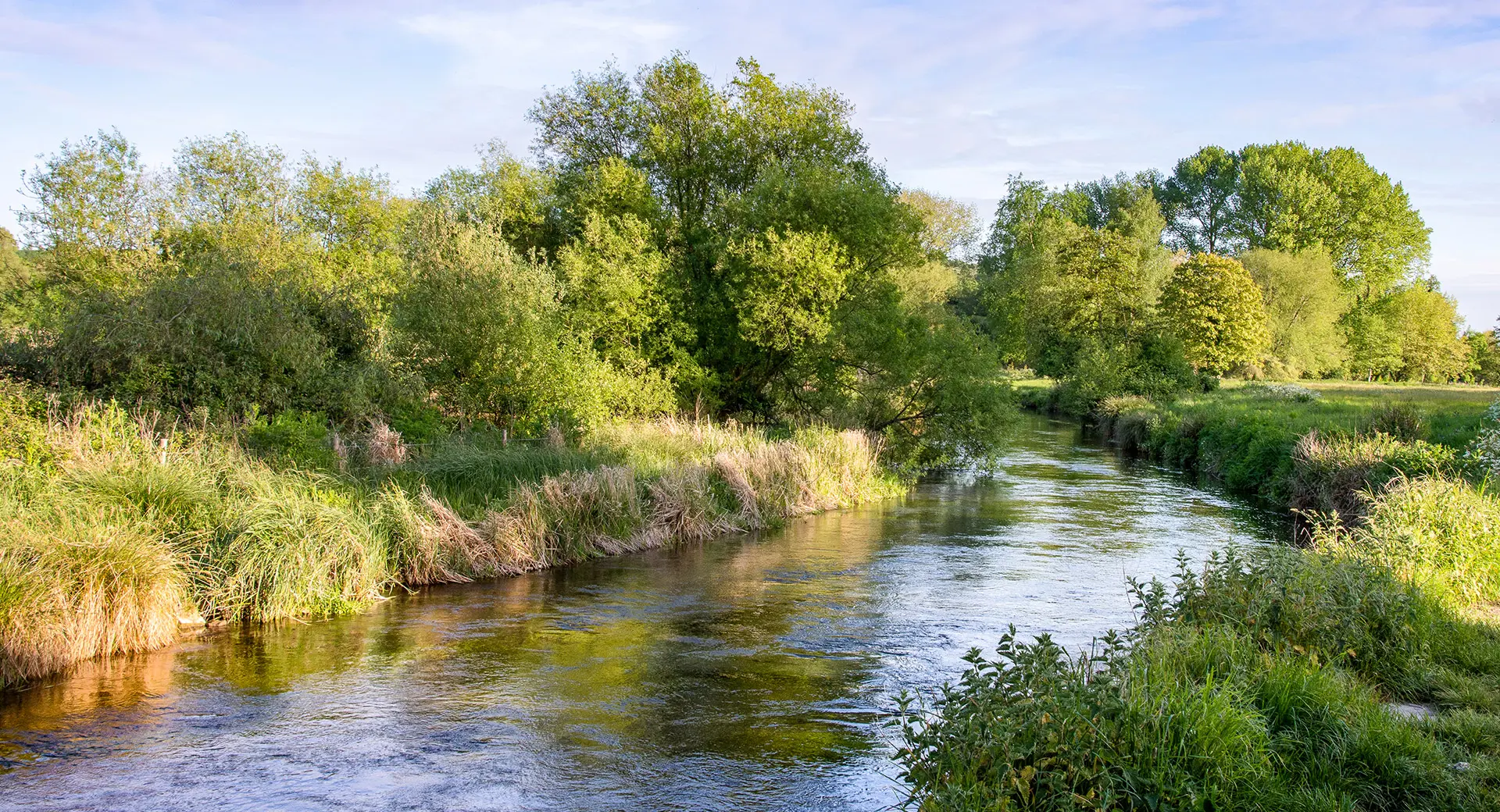A shot of a fast flowing river cutting through a field with trees