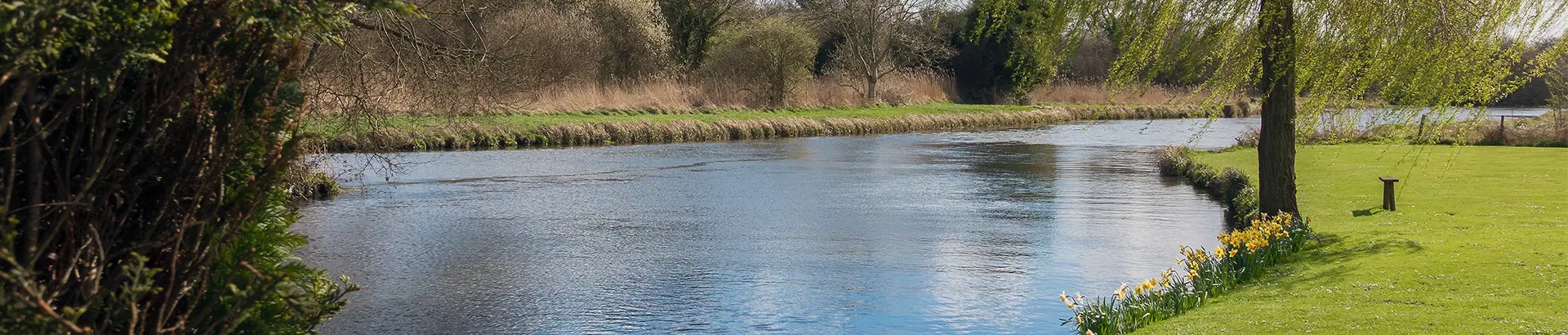 Hero image of the River Test in Hampshire with spring flowers