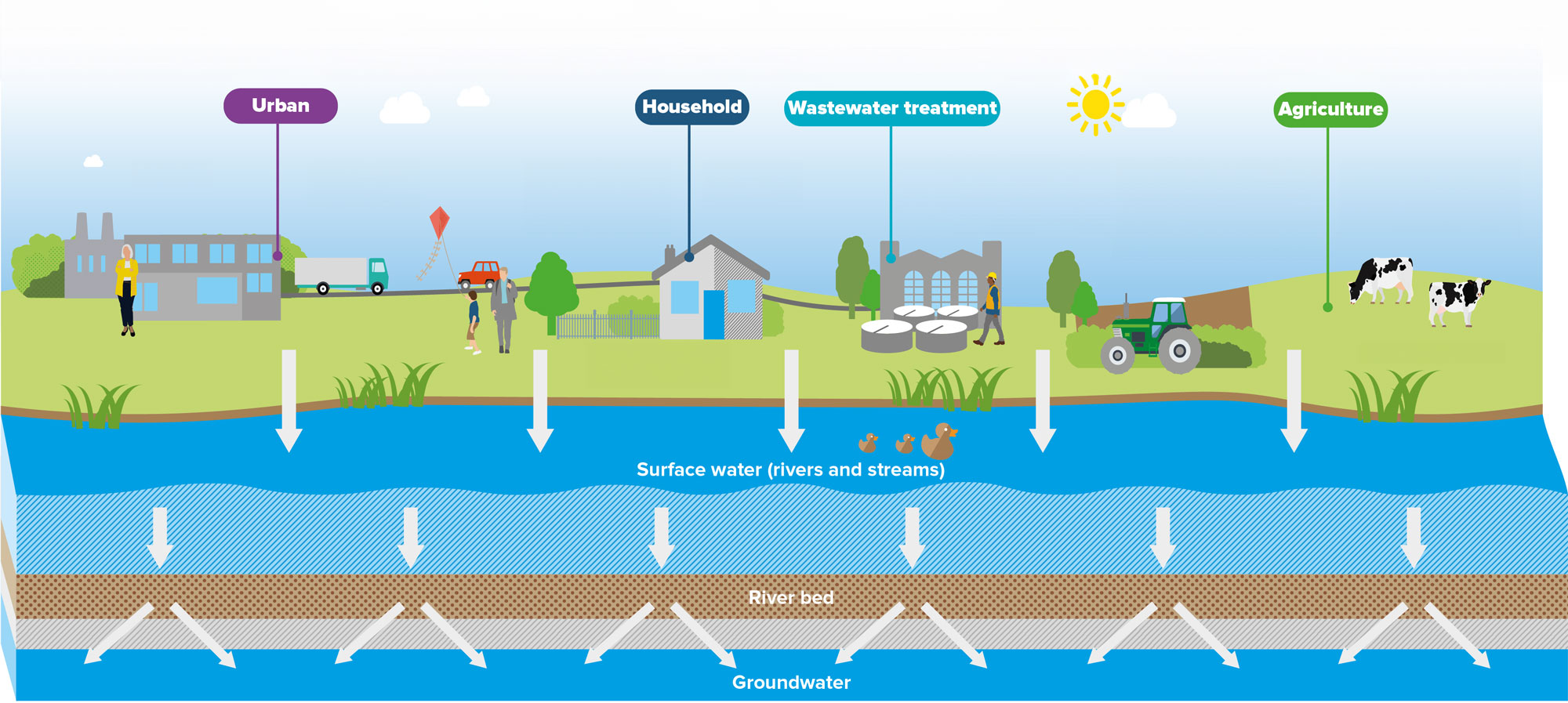 Detailed infographic of ground and surface water contributors