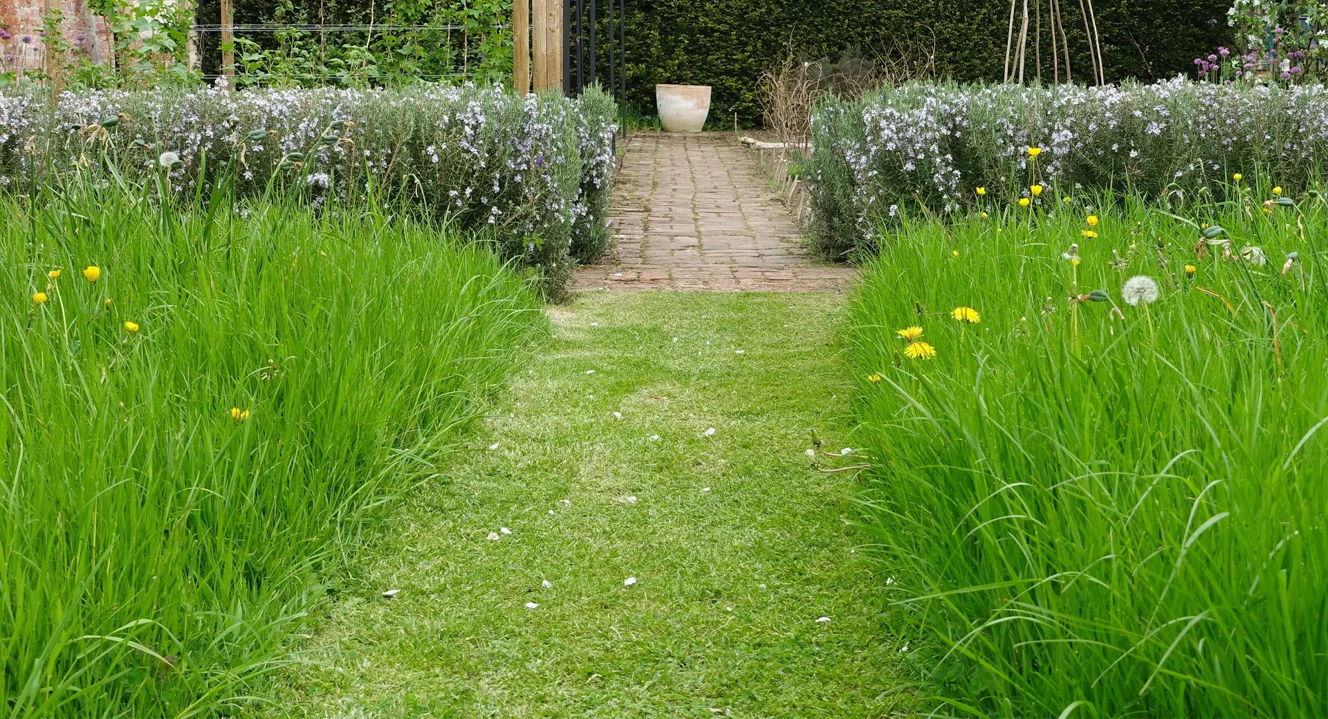 A garden with freshly cut grass