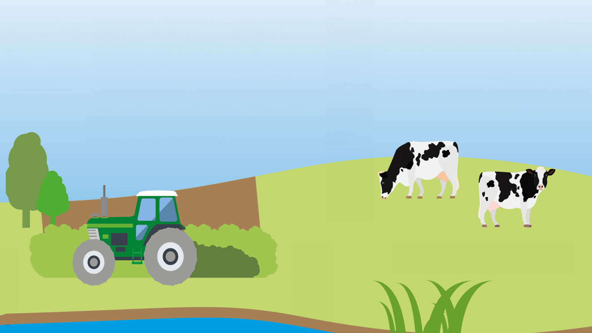 Illustration of a tractor and cows on a farm
