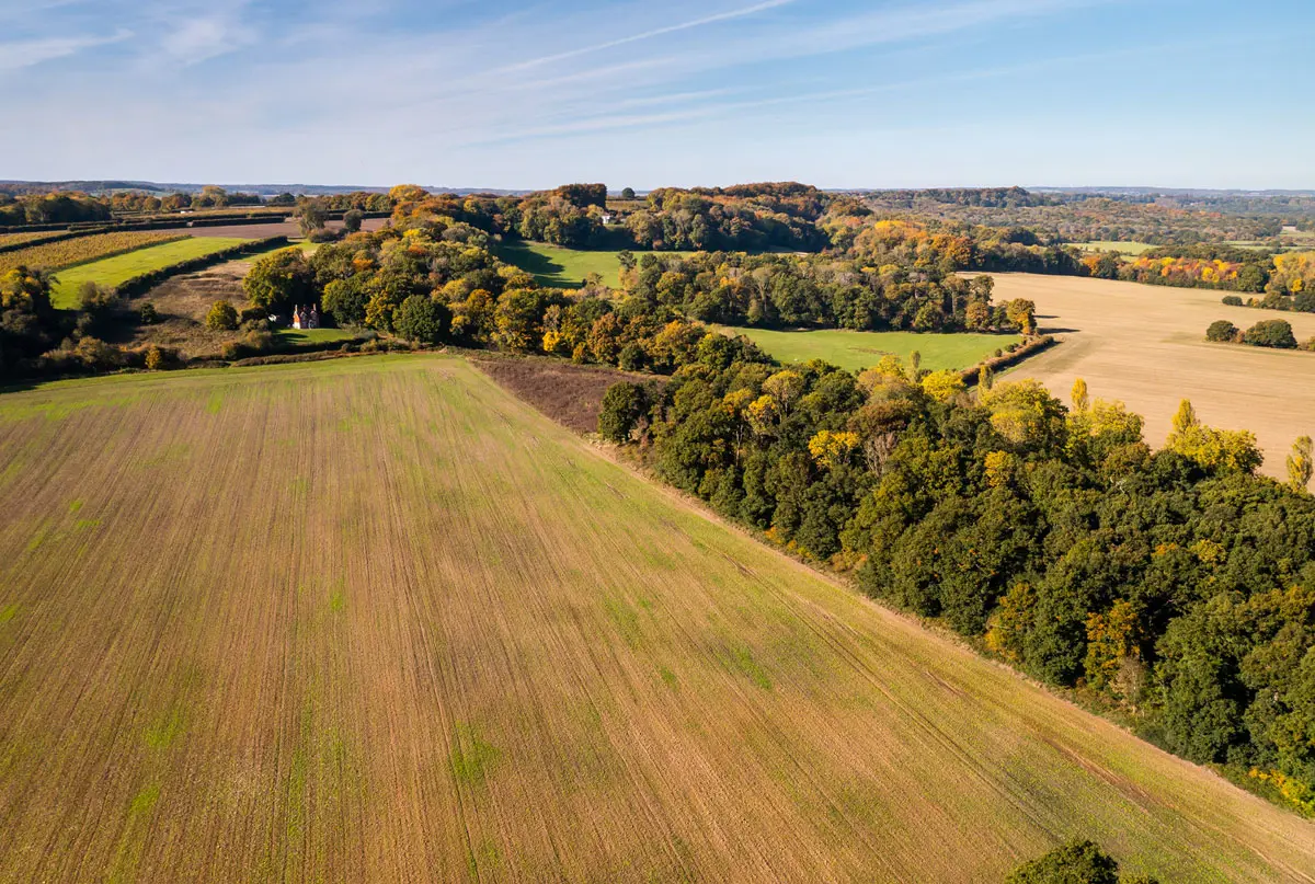 Arial view of farmland and trees