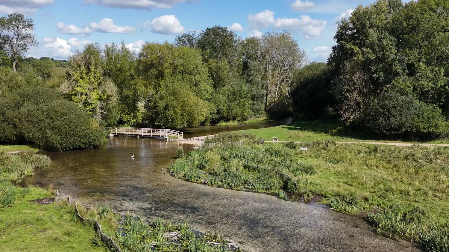 calm river surrounded by greenery