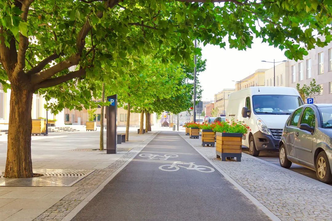 Bicycle lane under trees