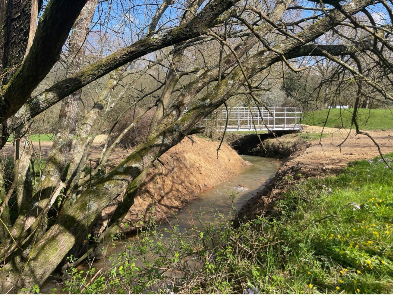 Sussex Partnership Helps Wildlife With River Restoration 