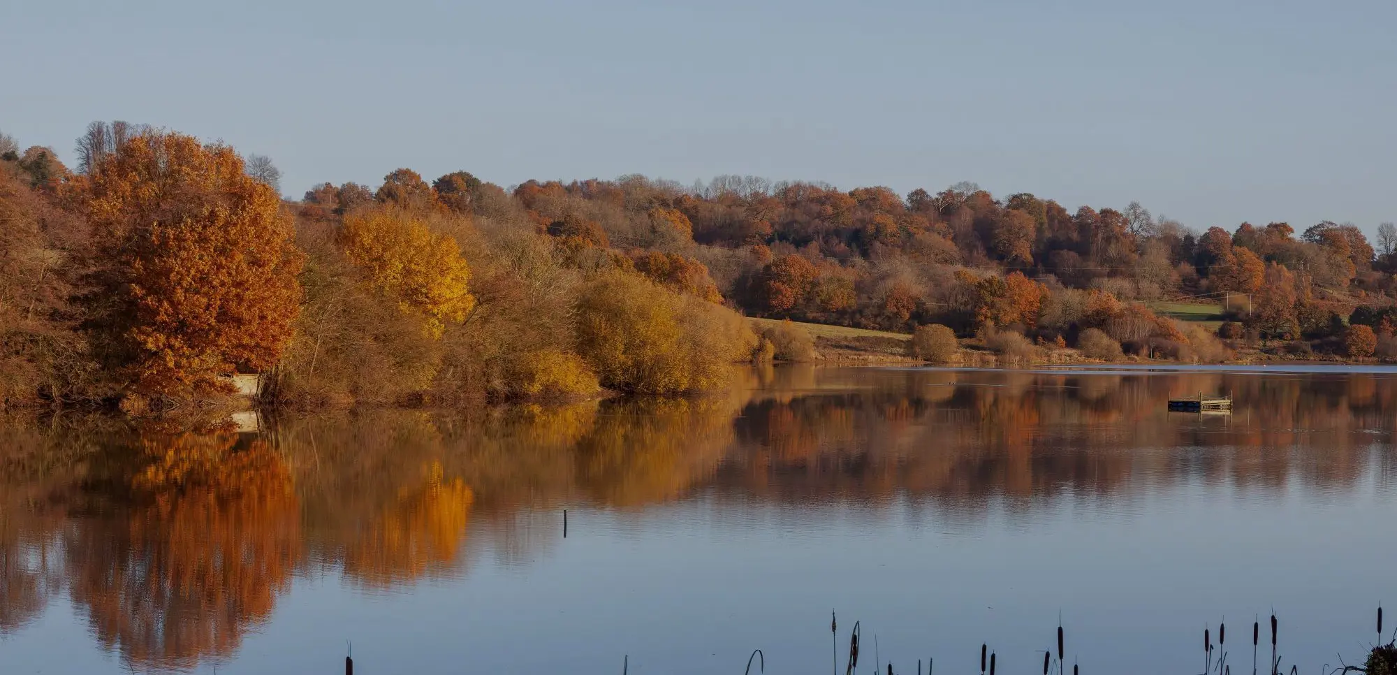 Autumn at Weir Wood Reservoir